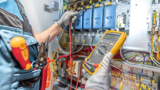 Best Electric Panel Repair  in Iona, ID
